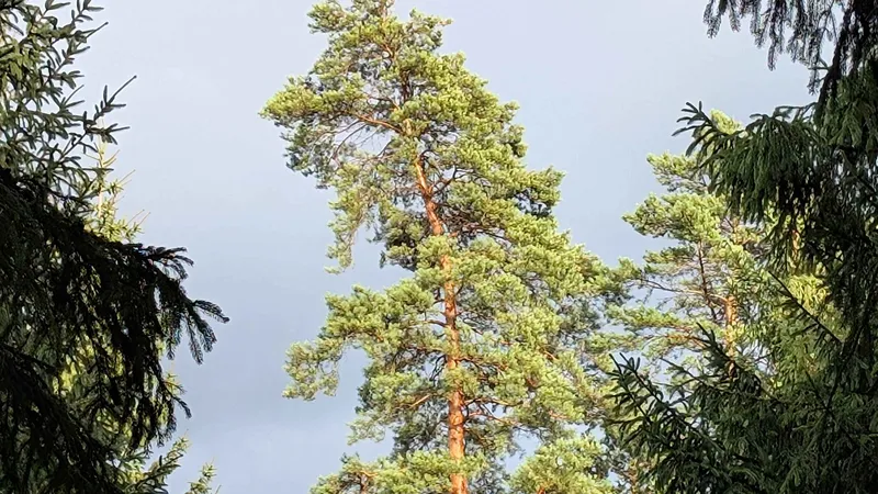 PXL_20250823_163220595.NIGHT