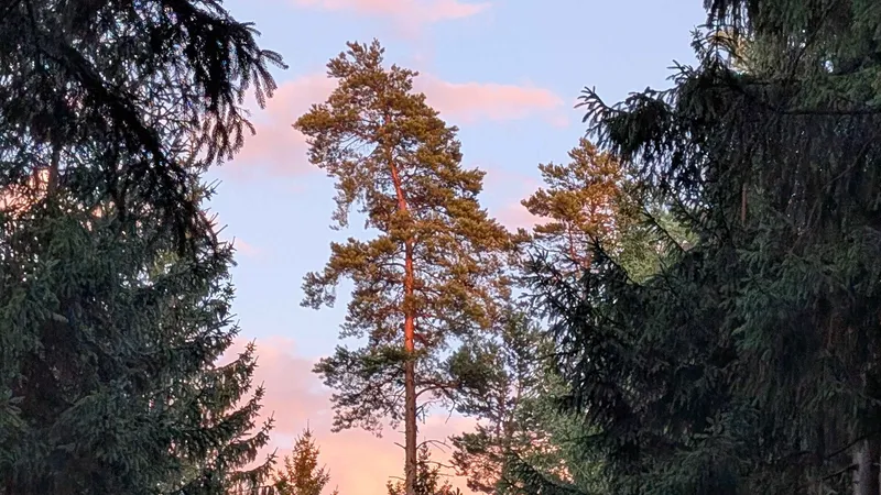 PXL_20250823_175634321