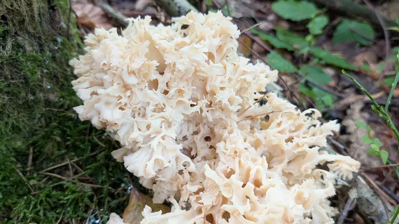 PXL_20250913_073214949