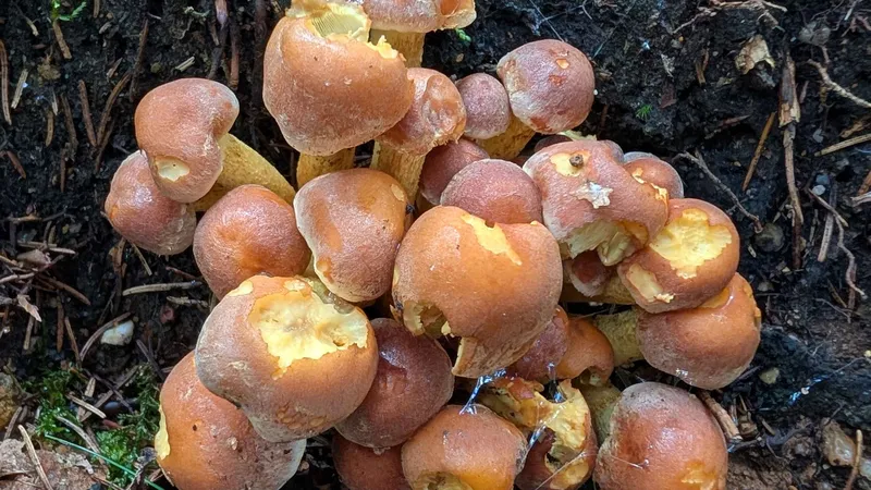 PXL_20250913_104318846