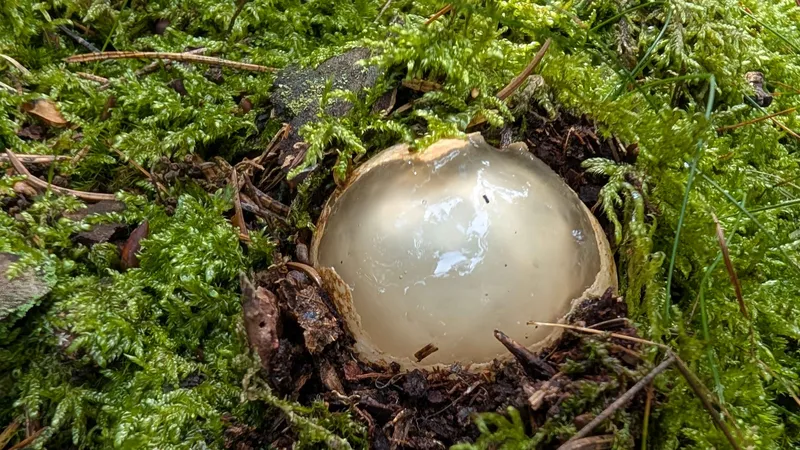 PXL_20250913_112427301