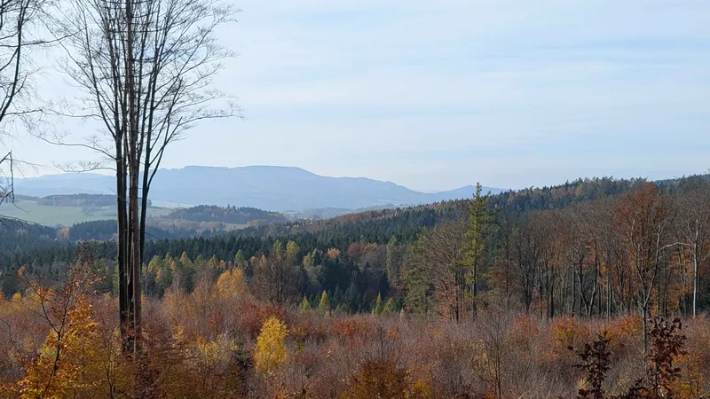 PXL_20251101_102044347