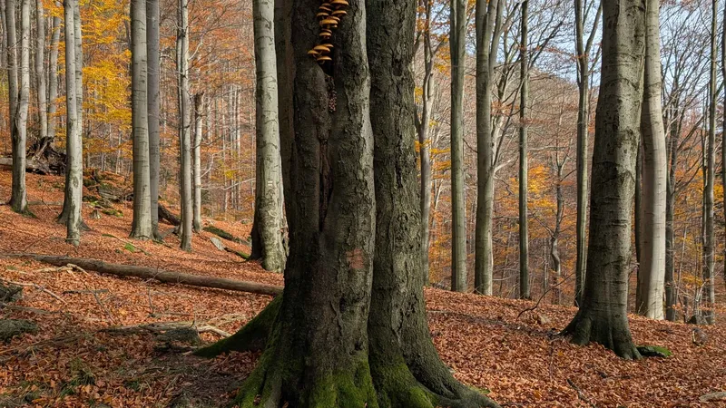 PXL_20251101_103451237