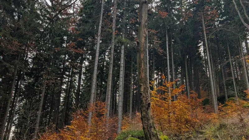 PXL_20251101_120021495